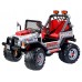 Cinture di Sicurezza Gaucho Peg Perego - ASGI0284GRN